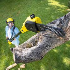 Best Tree Maintenance Programs  in Wewa, OK